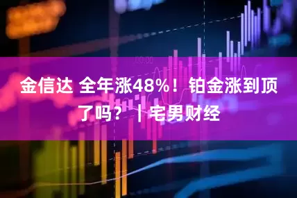 金信达 全年涨48%！铂金涨到顶了吗？｜宅男财经